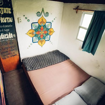 Viejo Lobo Hostel Cabo Polonio Exterior photo