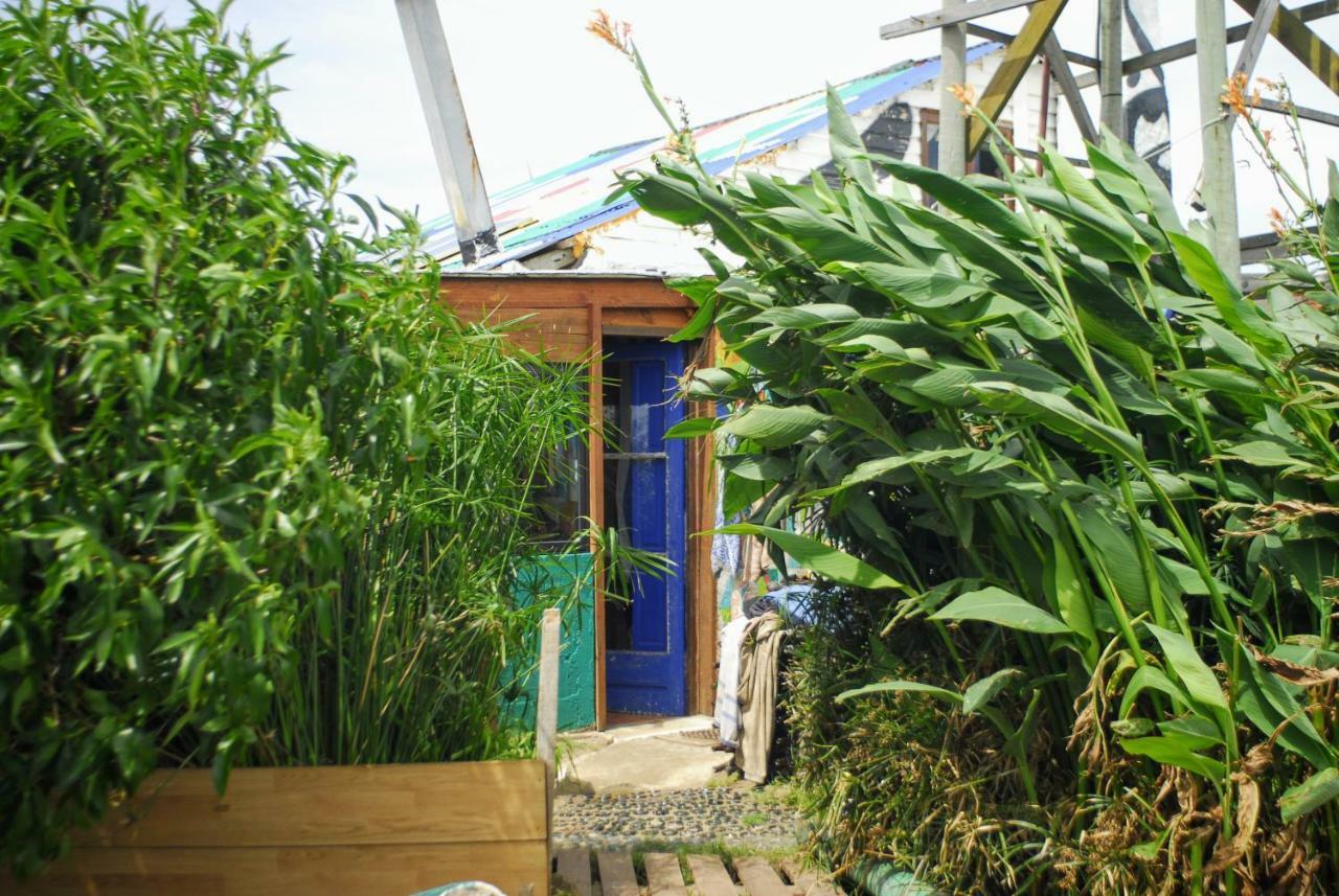 Viejo Lobo Hostel Cabo Polonio Exterior photo